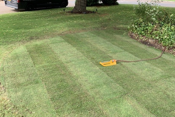 lawns-turfing